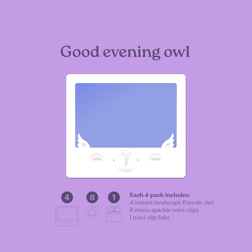 Instant Friends Owl Landscape Frame 4-pack