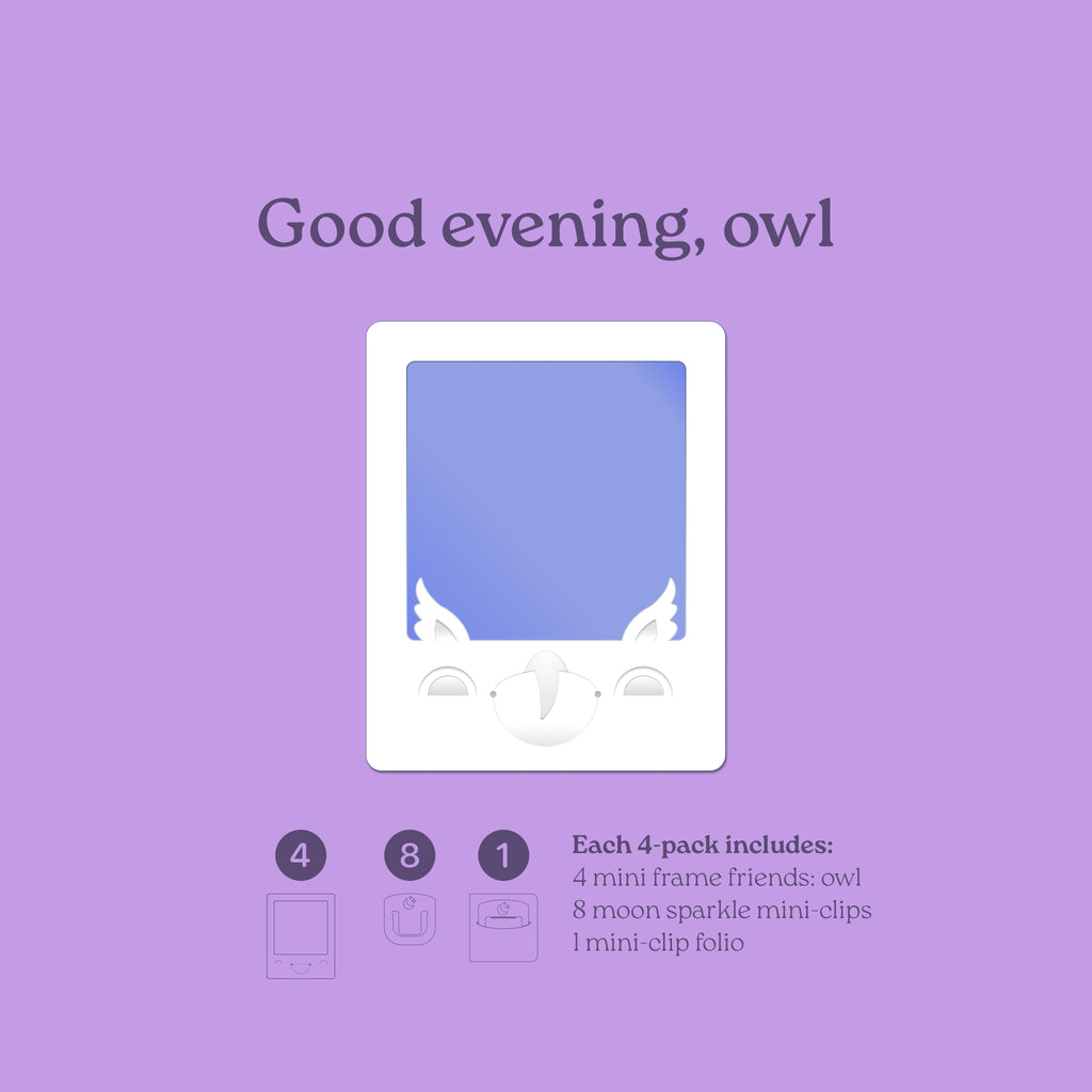 Mini Friends Owl Frame 4-pack