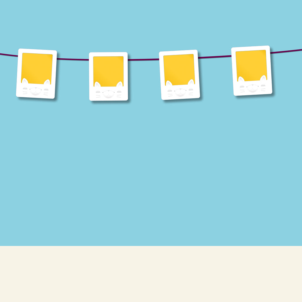 Mini Friends Cat Frame 4-pack